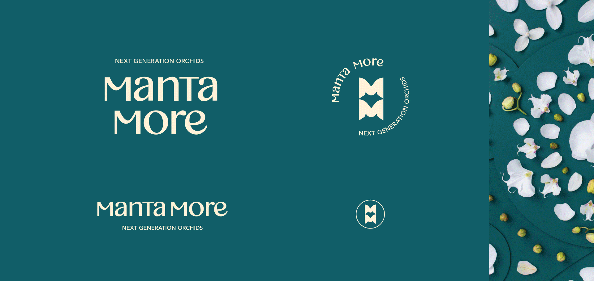 Manta More_logos 03