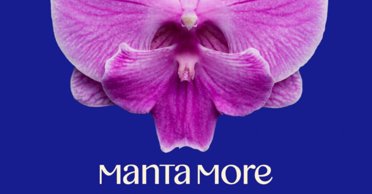 MantaMore_identity_overview