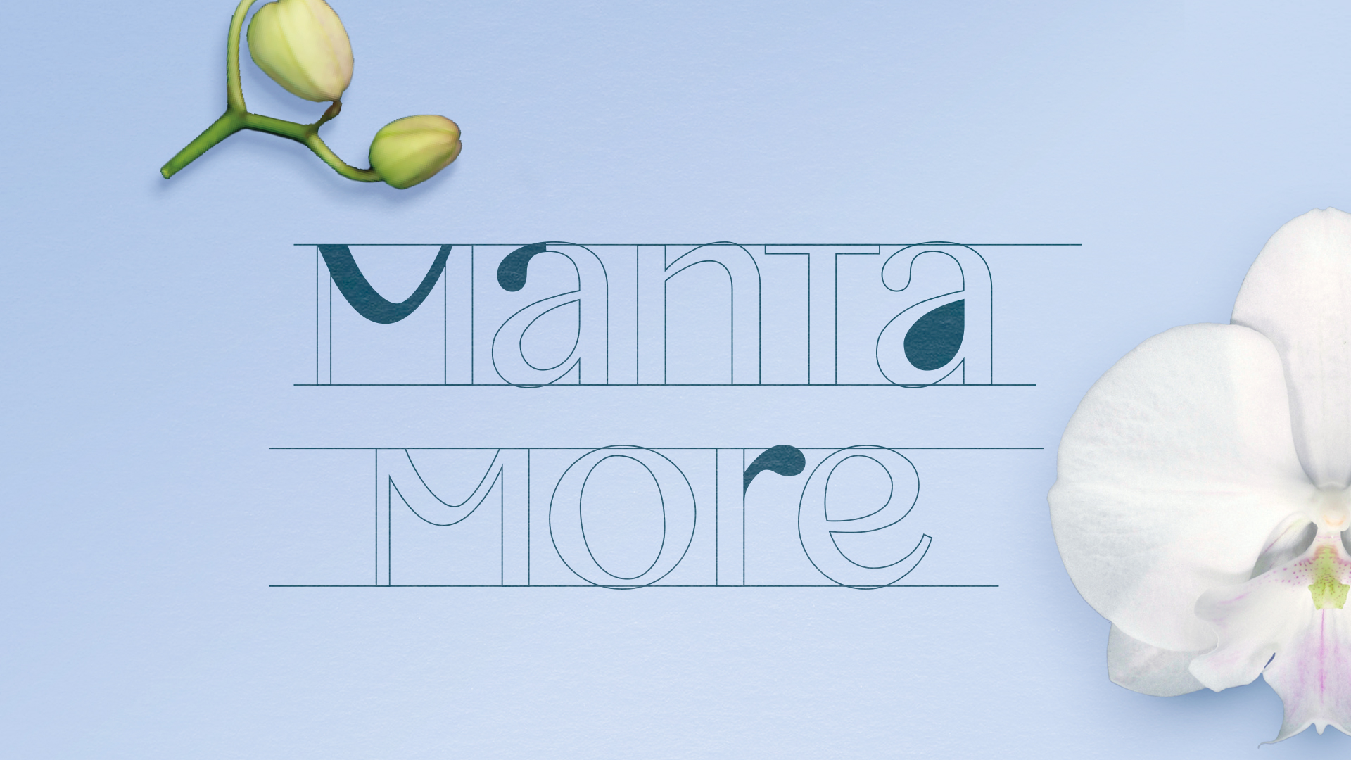 MANTA MORE brand identity