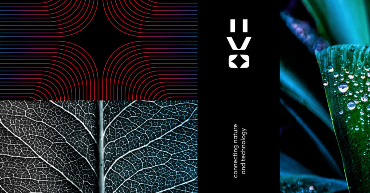 IIVO_logo_vertical