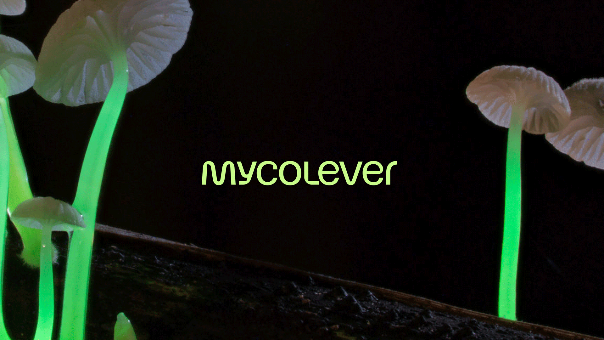 Mycolever_wordmark